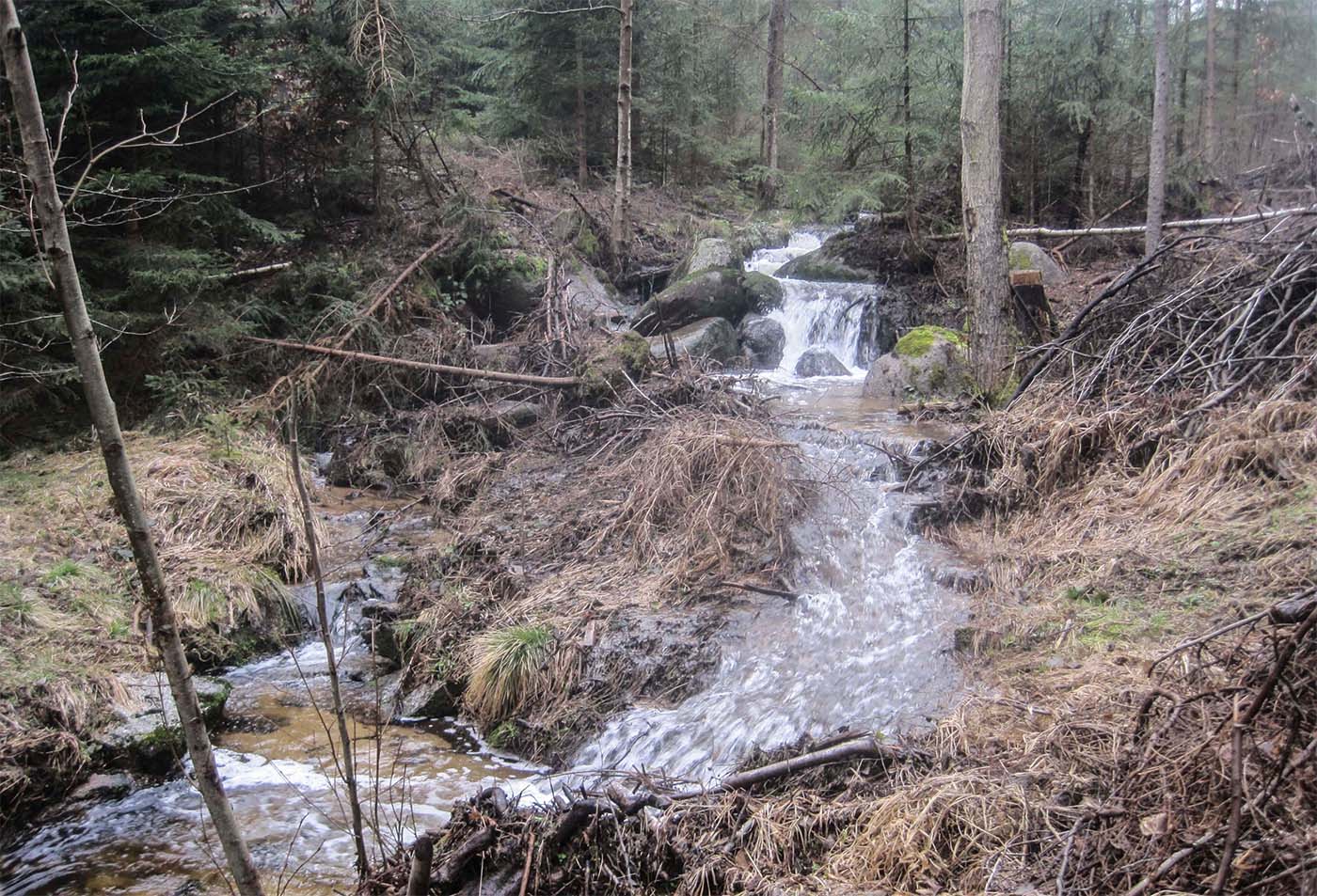 Kofl - Wolfschlagbach