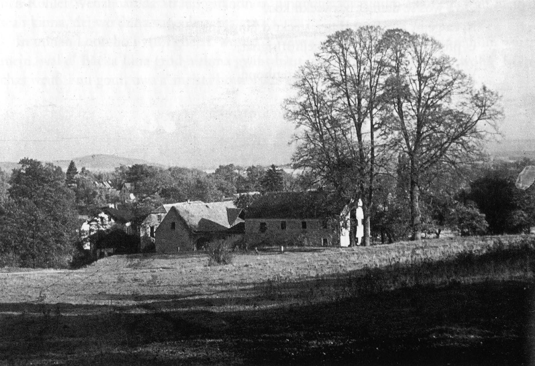 Die Pechgrüner Linden mit den benachbarten Höfen auf einer historischen Schwarzweißaufnahme