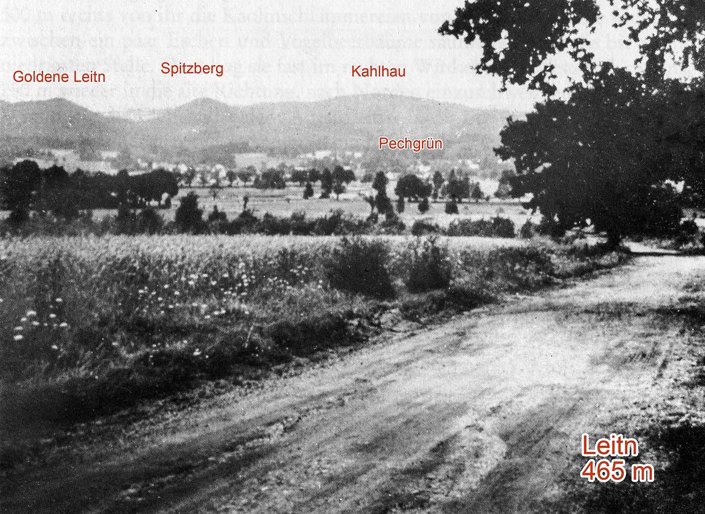 Blick von der Leitn in Richtung Pechgrün