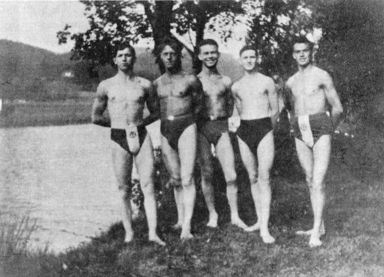 Pechgrüner Schwimmer auf dem Teichdamm des Stårkeneier