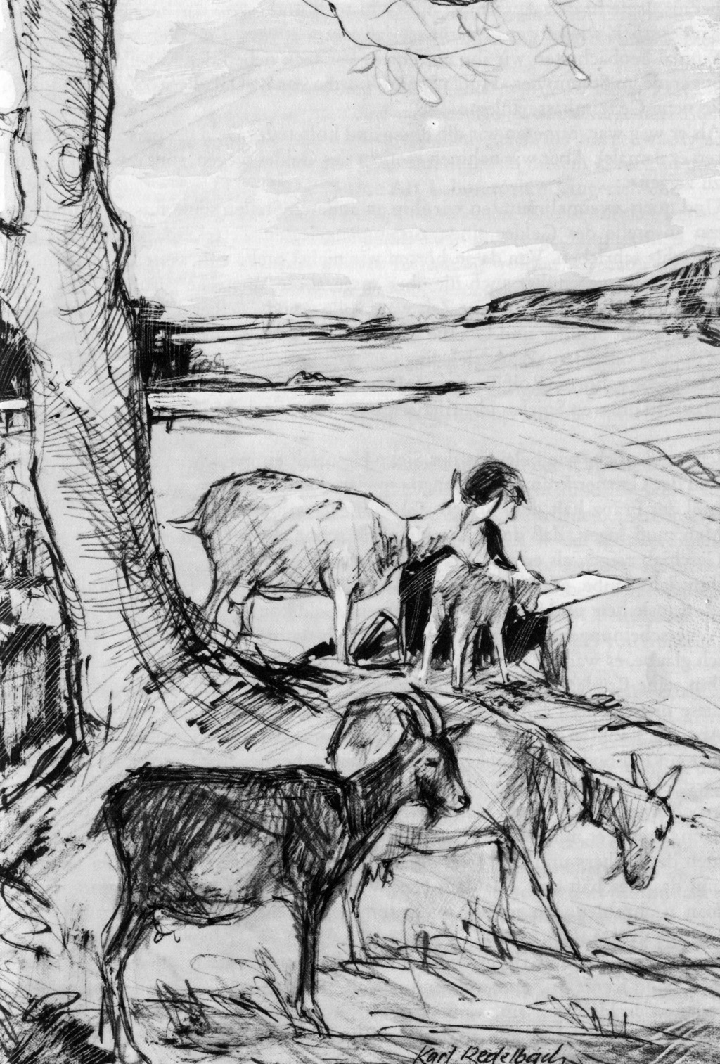 Ziegenhüten am Mazls-Bühl (von Karl Redelbach)