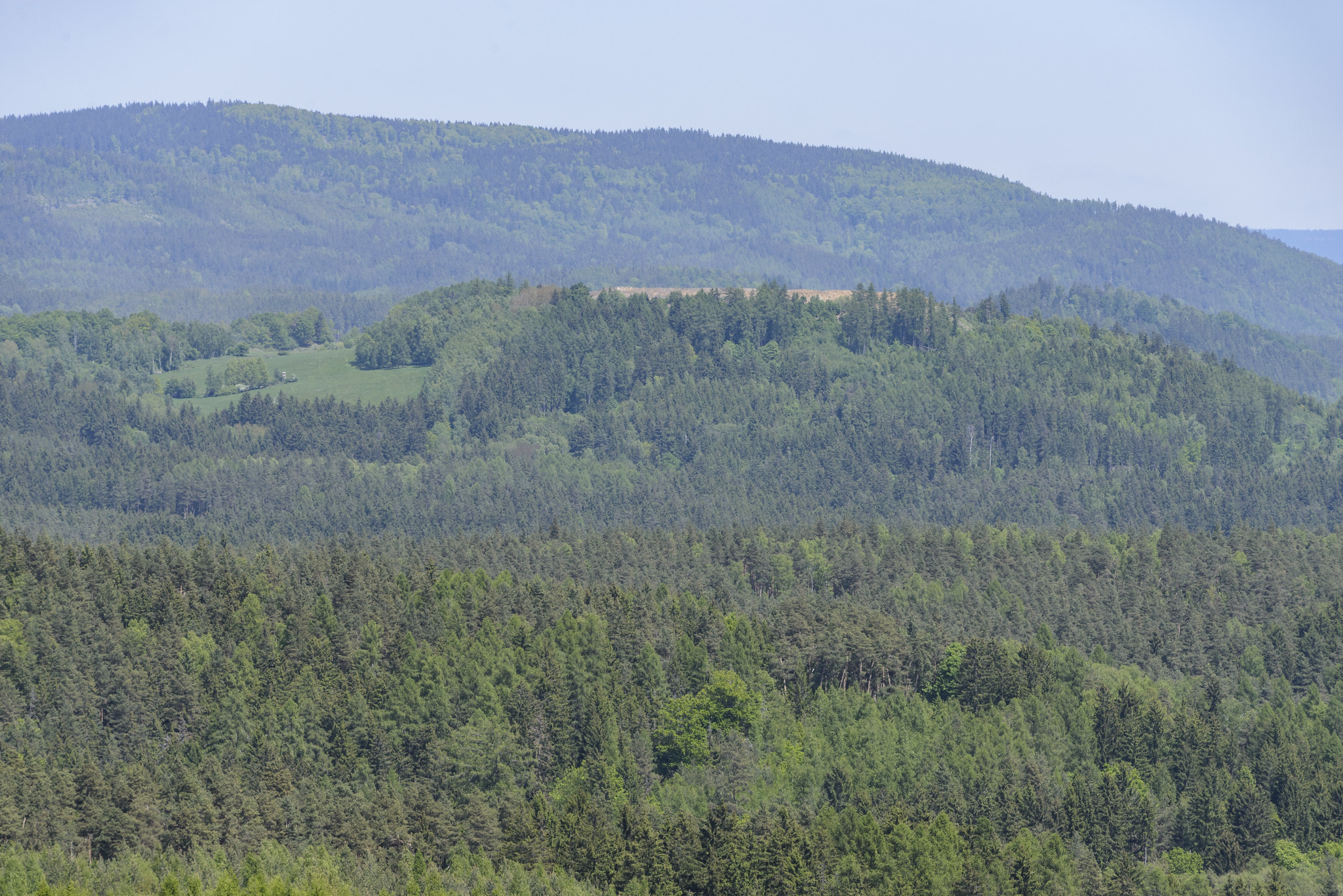 Blick von Pechgrün zum Steinberg