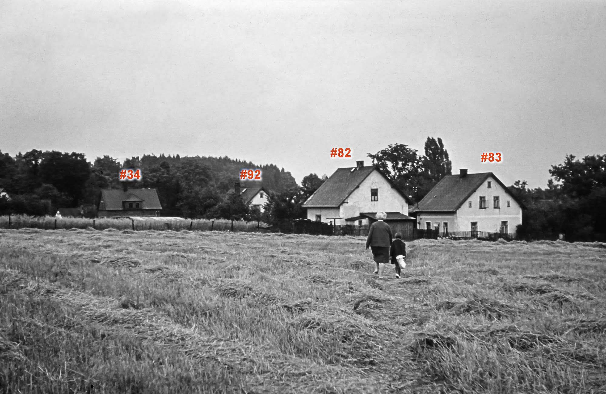 Blick aus westlicher Richtung auf "Fuatzwinkl" zugehend