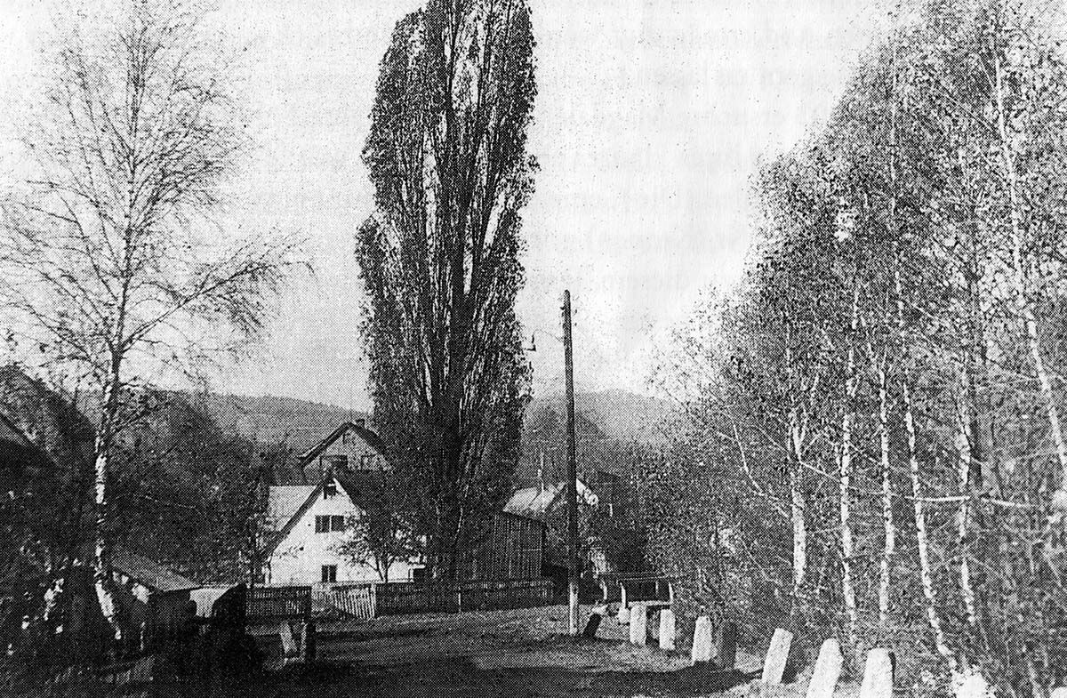 "\d Poopl" am Ortseingang von Pechgrün