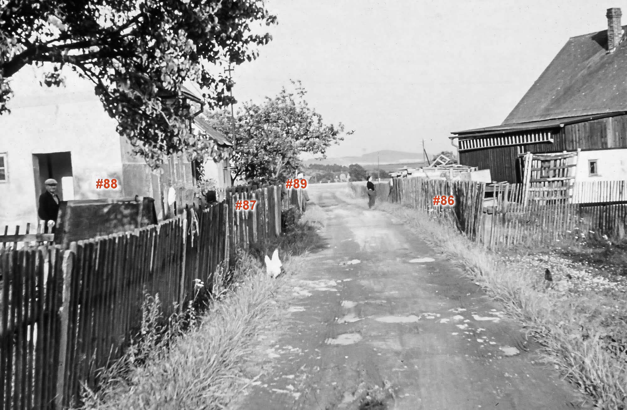 "Haus Nr. 88 der Familie Karl Lenk und andere