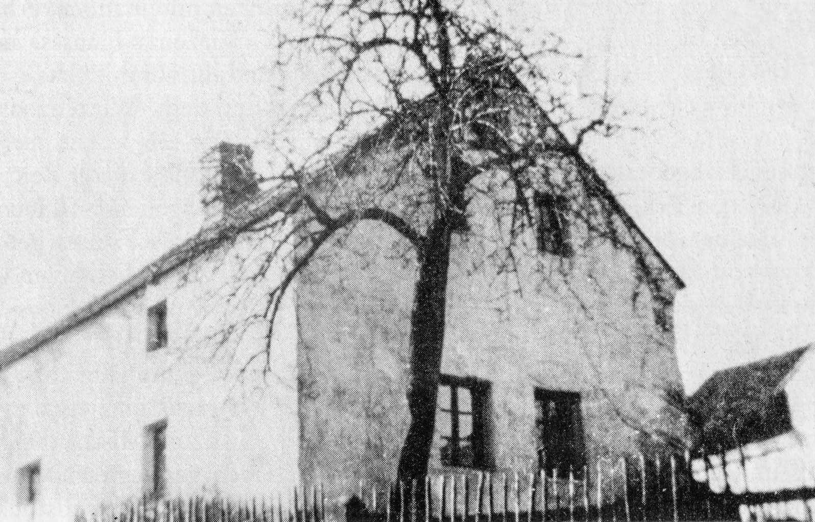 Haus Nr. 52 der Fam. Emma Heinzl